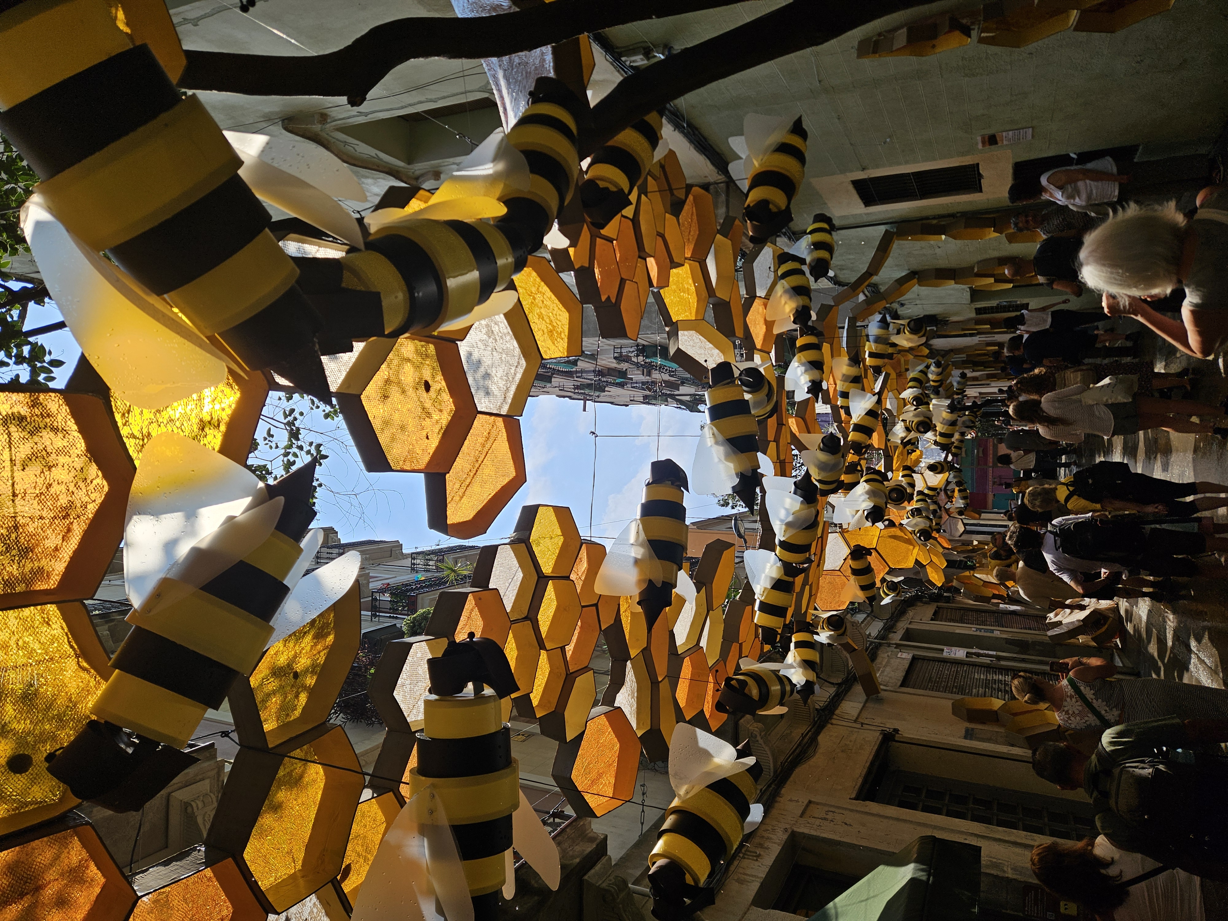 honeycomb_street